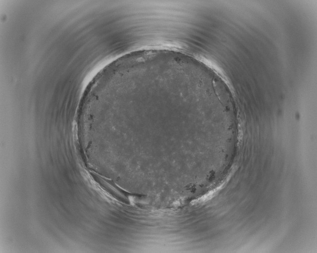 X0000066090928200603241453