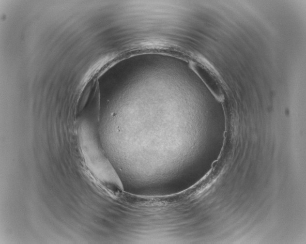 X0000066090930200603241453