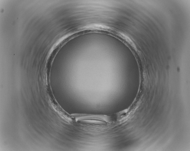 X0000066090931200603241453