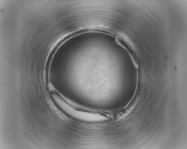 X0000066090932200603241453