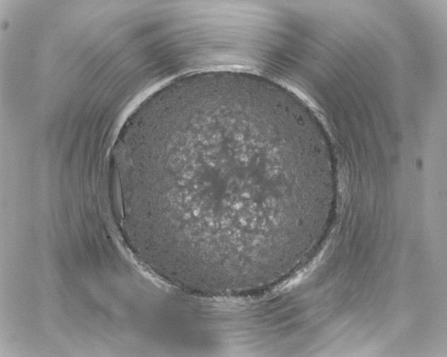 X0000066090933200603241453