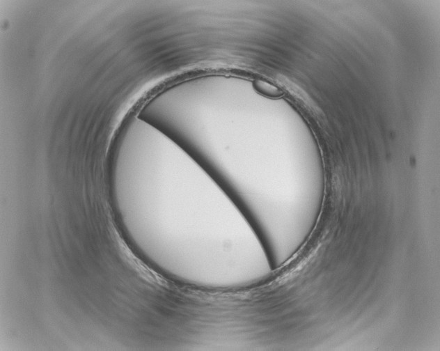 X0000066090934200603241453