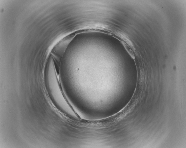 X0000066090936200603241453