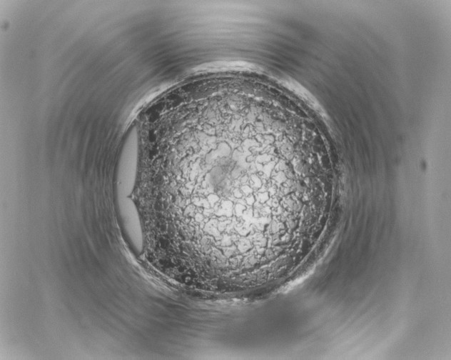 X0000066090937200603241453