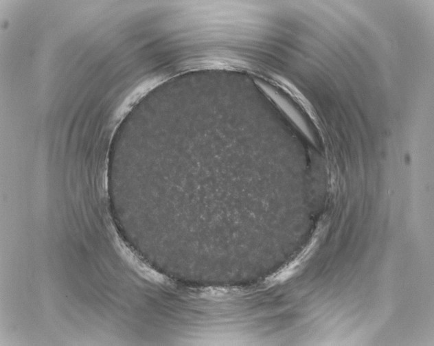 X0000066090938200603241453