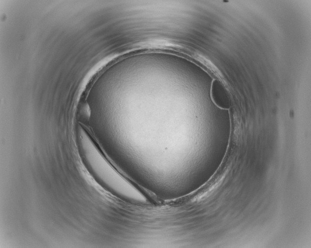 X0000066090939200603241453