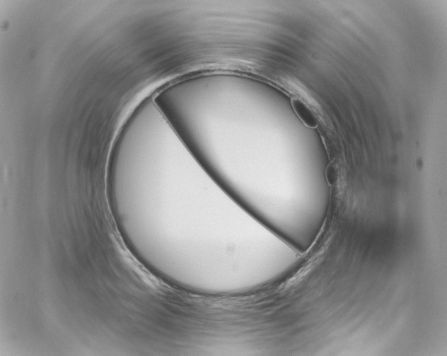 X0000066090940200603241453