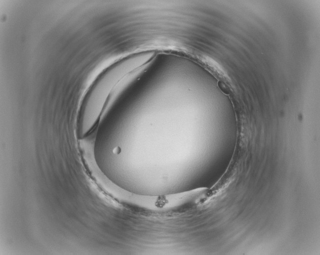 X0000066090942200603241453