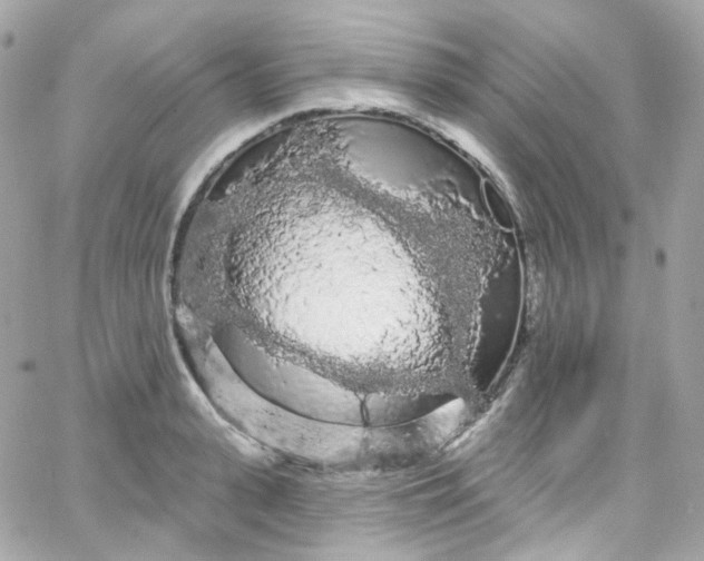 X0000066090943200603241453