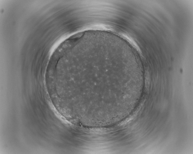 X0000066090944200603241453