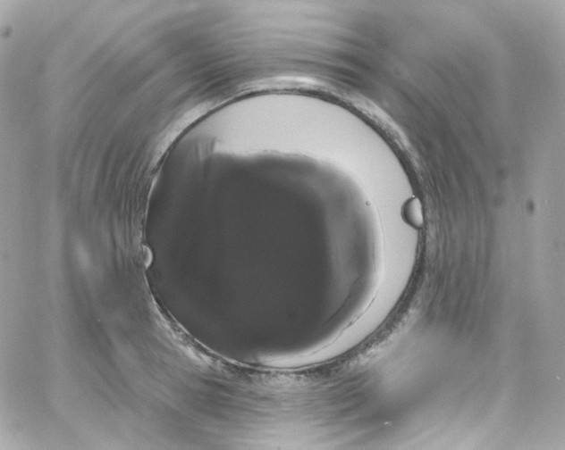 X0000066090945200603241453