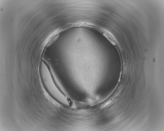 X0000066090946200603241453