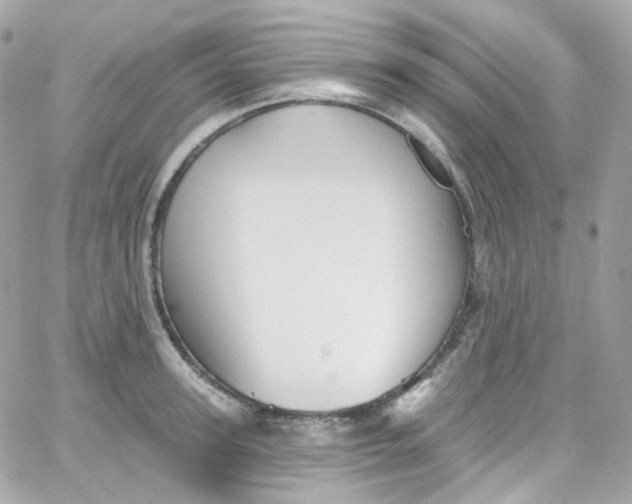 X0000066090947200603241453