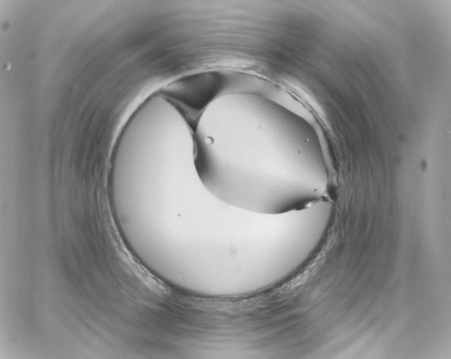 X0000066090948200603241453