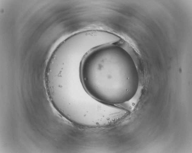 X0000066090950200603241453