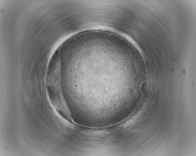 X0000066090951200603241453