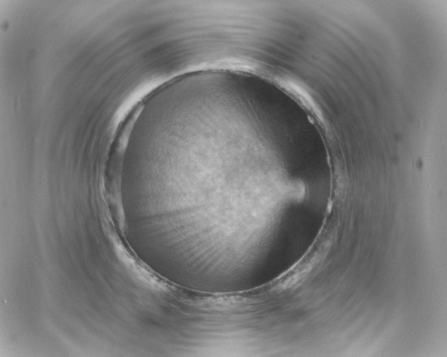 X0000066090952200603241453