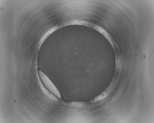 X0000066090954200603241453