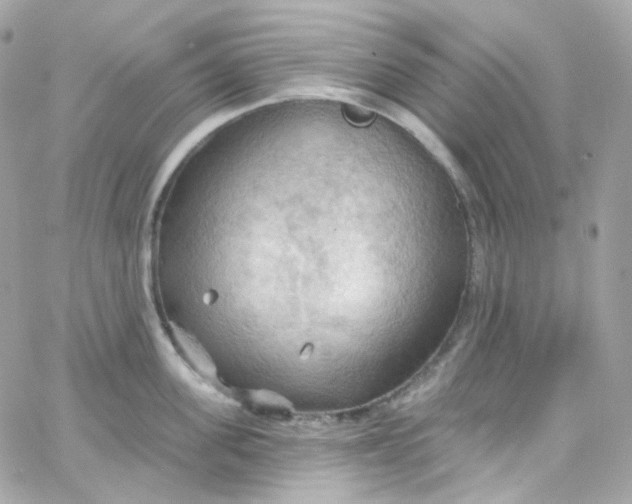 X0000066090955200603241453