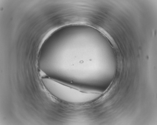 X0000066090956200603241453