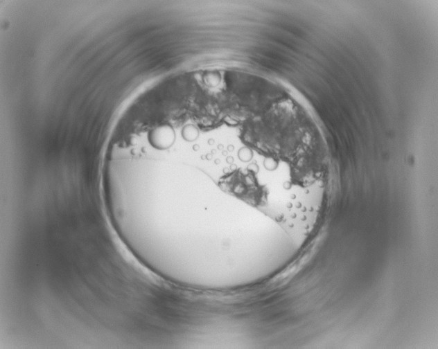 X0000066090957200603241453