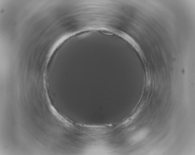 X0000066090958200603241453