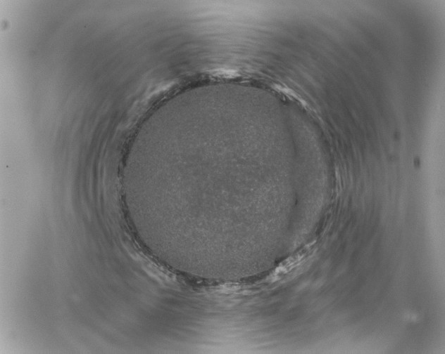 X0000066090961200603241453