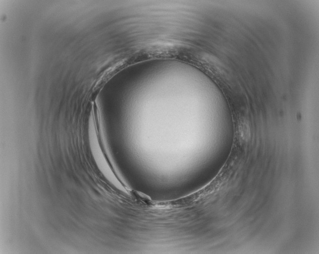 X0000066090964200603241453