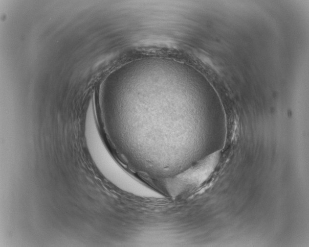 X0000066090965200603241453