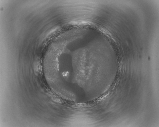 X0000066090966200603241453