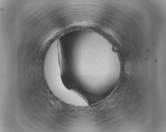 X0000066090968200603241453