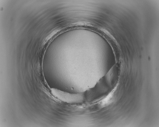 X0000066090969200603241453