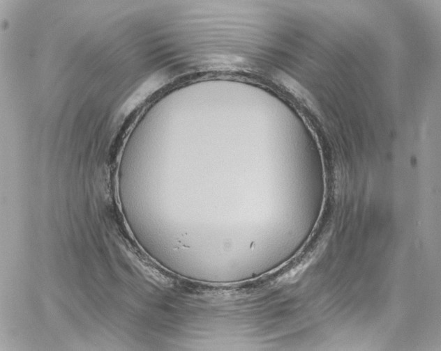 X0000066090970200603241453