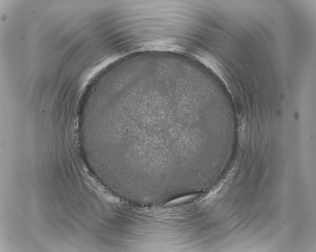 X0000066090971200603241453