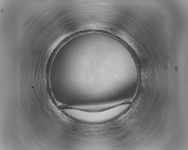 X0000066090972200603241453