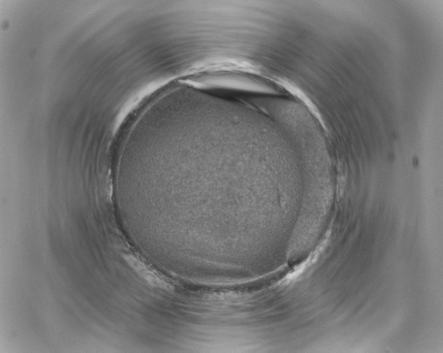 X0000066090973200603241453