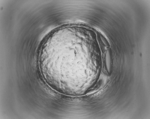 X0000066090975200603241453