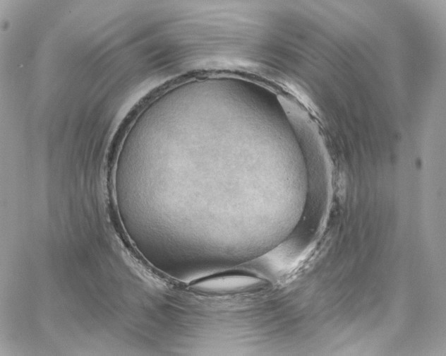 X0000066090976200603241453