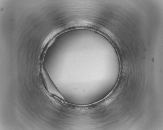 X0000066090978200603241452