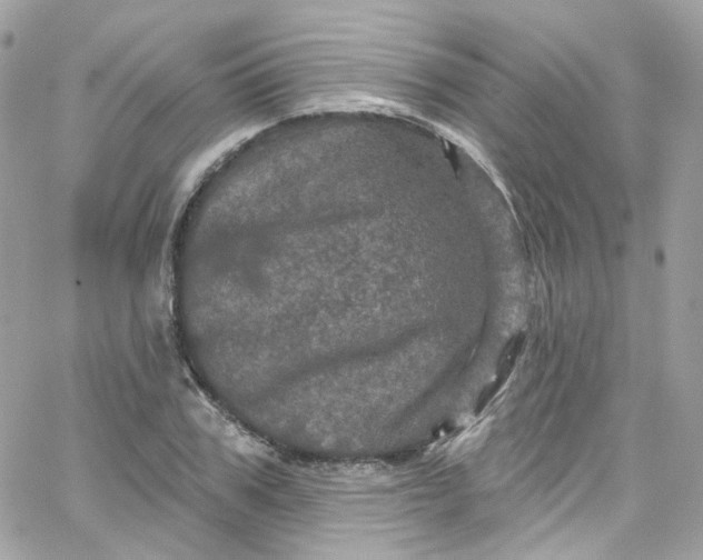 X0000066090979200603241452