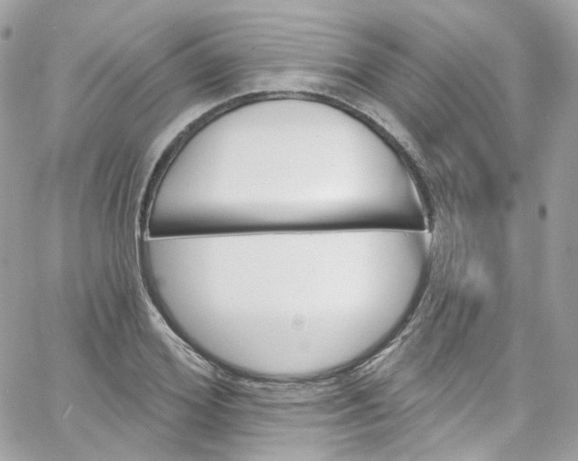 X0000066090980200603241452