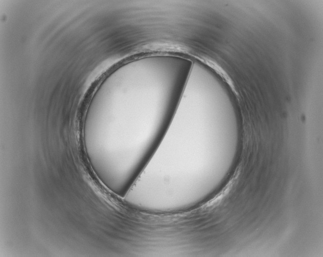 X0000066090981200603241452