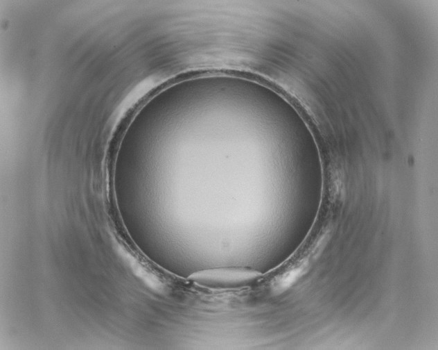 X0000066090982200603241452