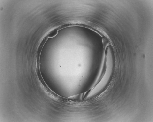 X0000066090984200603241452