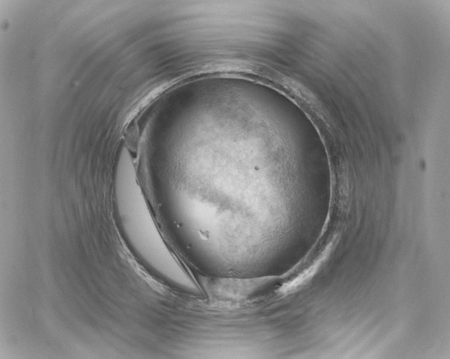 X0000066090985200603241452