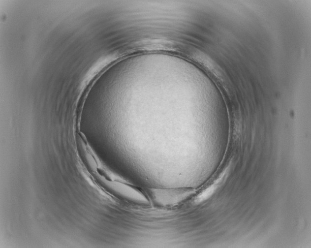 X0000066090986200603241452