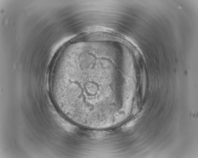 X0000066090987200603241452