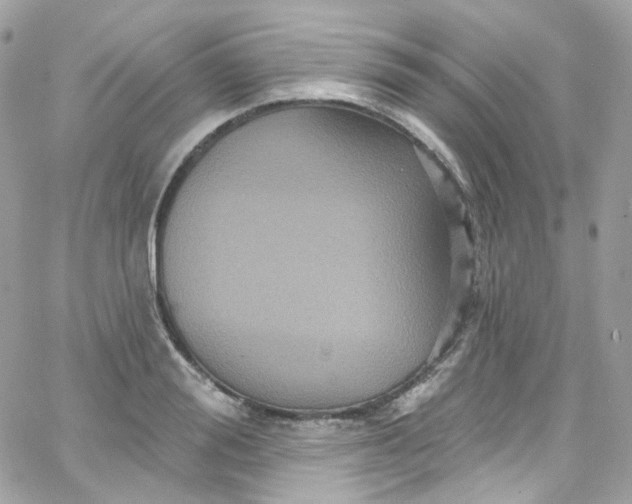 X0000066090988200603241452