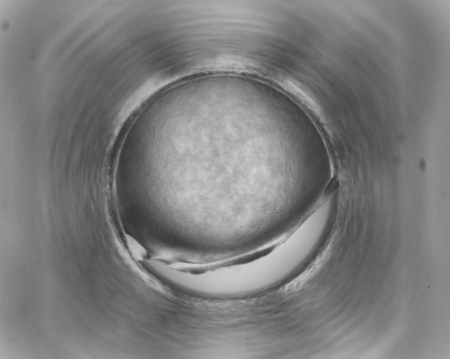 X0000066090989200603241452