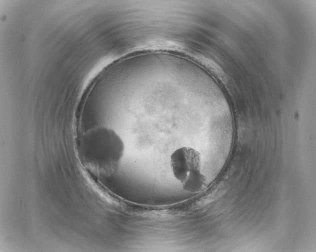 X0000066090990200603241452